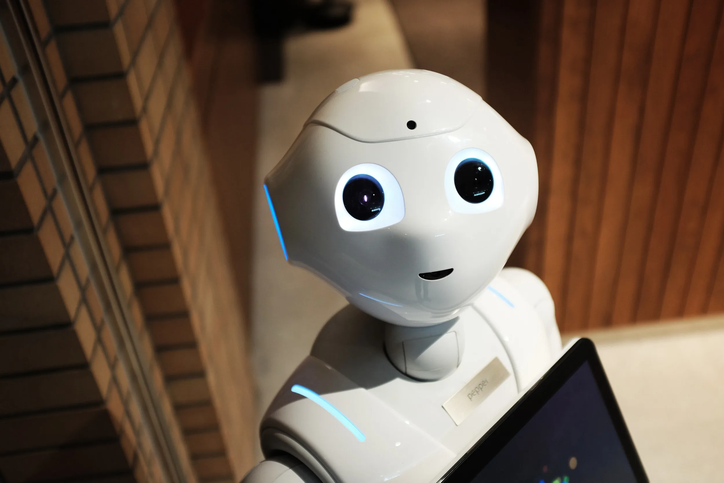 Q3 2024 Earnings Report: Big Tech’s Resilience Amid Economic Headwinds