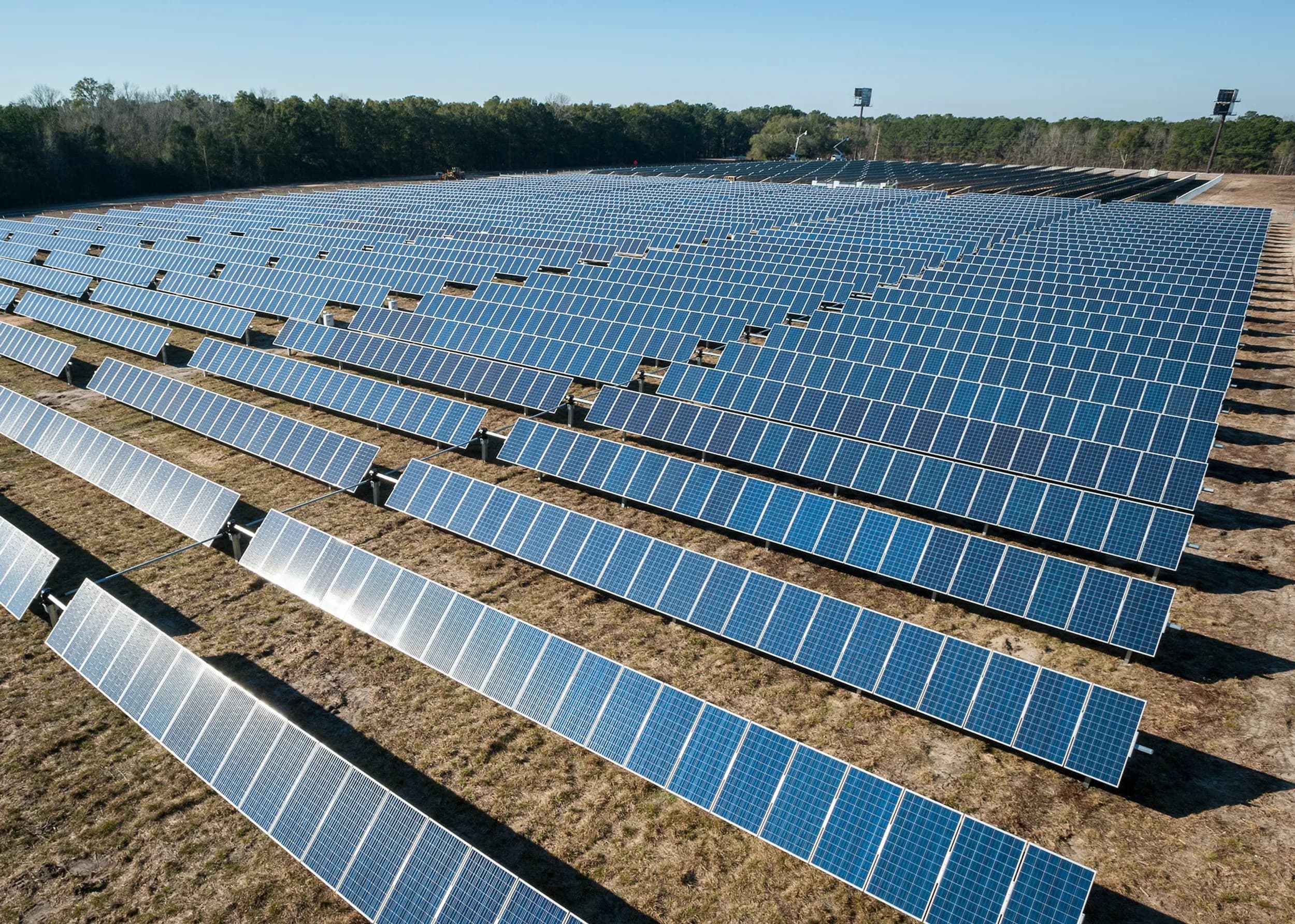 Sustainable Finance Gains Traction: Green Bonds Surge in Popularity