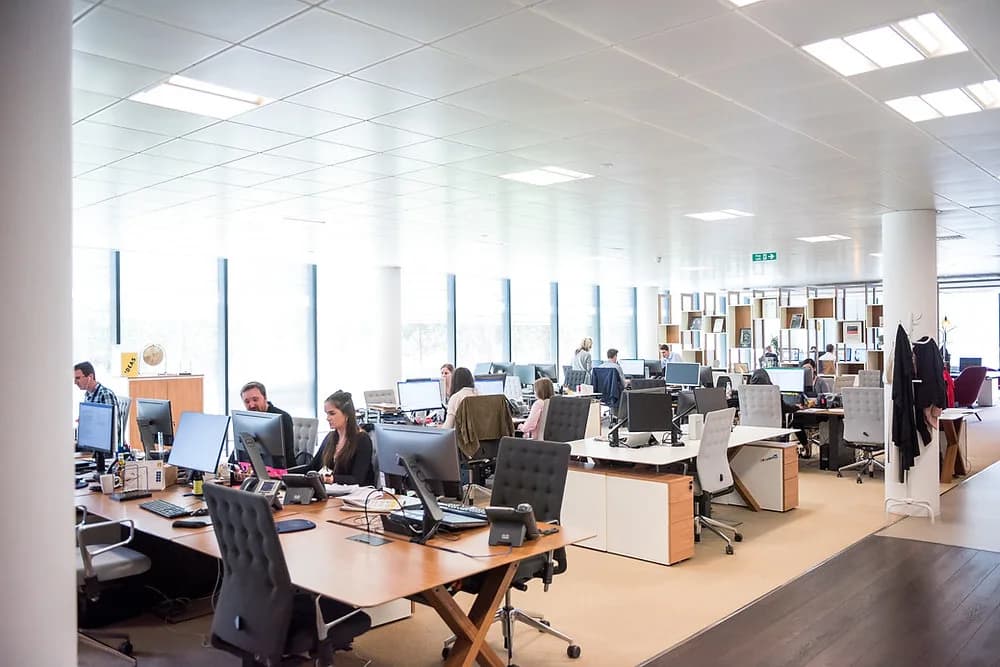 The "Return to Office" War Is Over. Both Sides Lost.