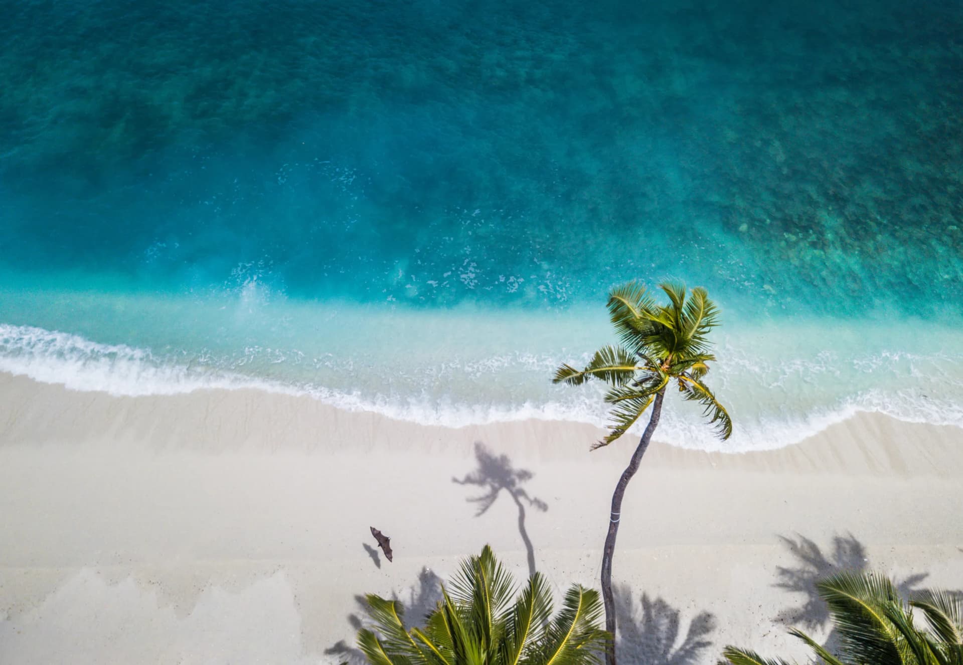 Top 10 Summer Getaways to Unwind and Recharge: Your Ultimate Office Break Guide for 2024