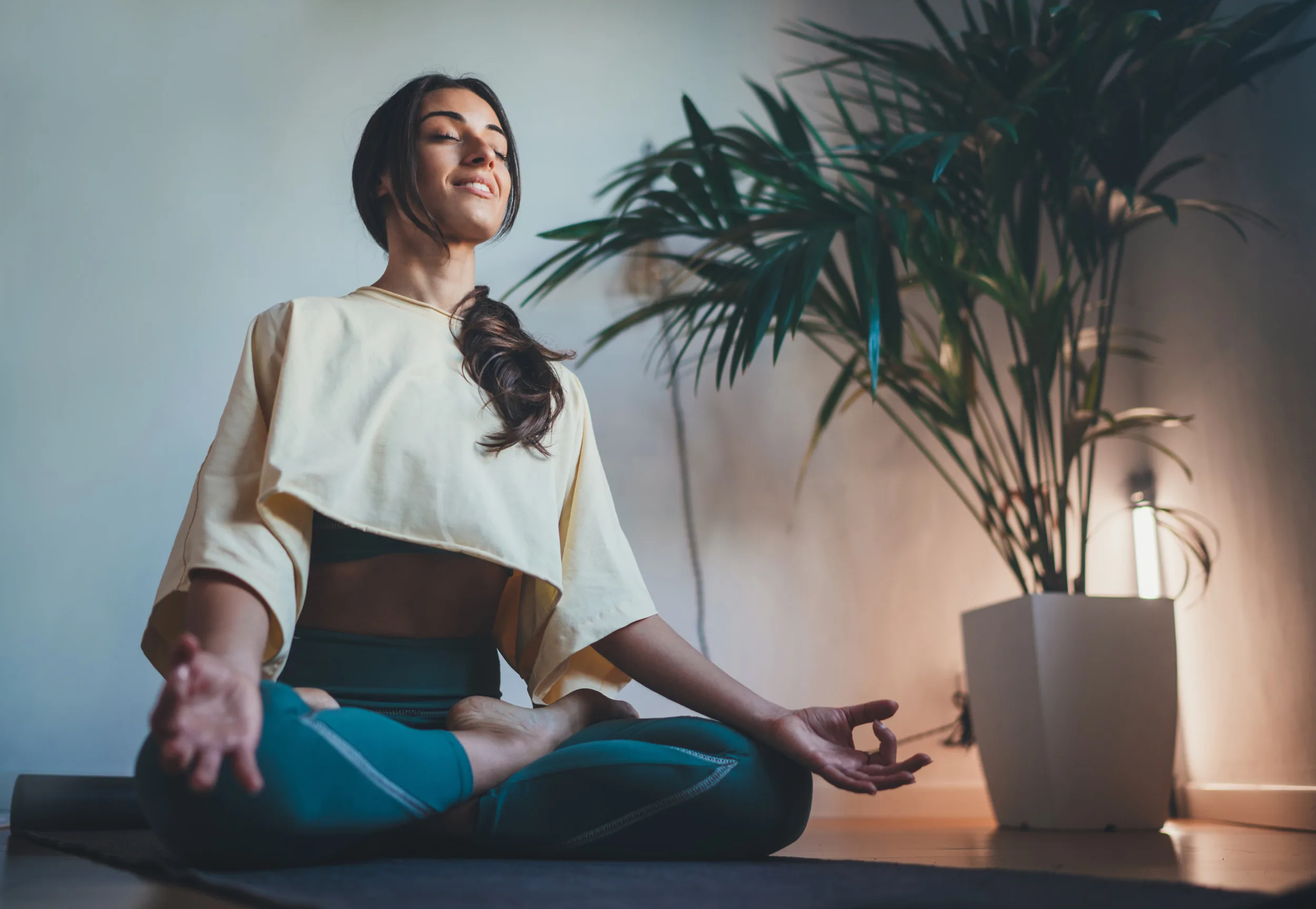 Where to Invest $2,000 Per Month in Wellness?